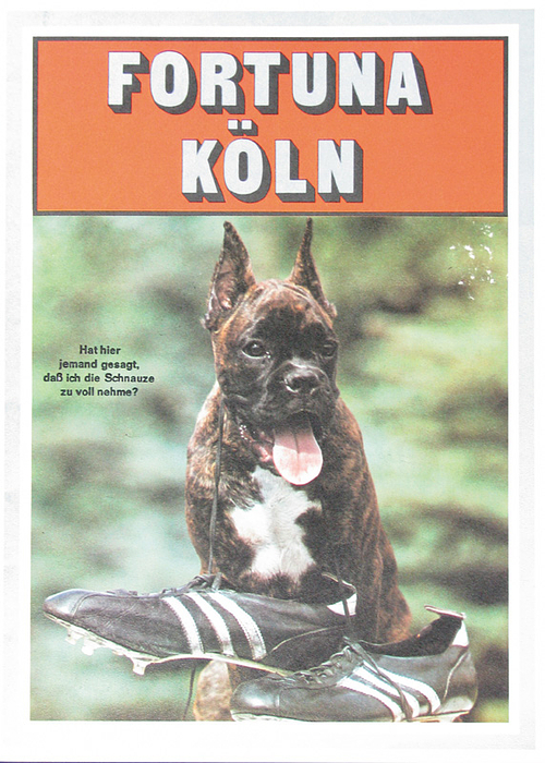 Sorry, no english description is available. ...  - 32 Seiten mit 18 Farb-Spielerportäts, Broschur 29x21 cm. Köln 1971. Condition: C.....(Mannschaftsheft zum Start der Regionalliga West 1971/72 mit Vorstellung des gesamten Kaders und doppelseitigen Mannschaftsfoto) Sehr selten!. --Klammern rostig