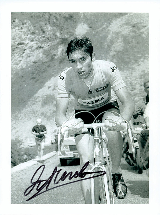 Black-and-white photo with original autograph by Belgian professional cyclist and multiple Tour de France winner Eddy Merckx. 20x15 cm. Condition: A