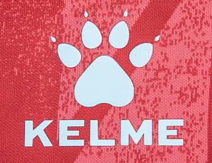 Asian Cup 2023 match worn footb. shirt Palestine - Original match-worn Palestine shirt with number 25. Worn by Samer Jondi (as a substitute in the 90th minute) on January 18, 2024, in an AFC Asian Cup group match against the United Arab Emirates. Palestine - UAE 1:1. The 2023 Asian Cup was played from January 14 to 23, 2024. Status: AAA --Short-sleeved jersey; size M; rubberized national flag and Kelme logo; rubberized player name and number (front and back); with AFC Asian Cup Qatar 2023 patch, AFC Live patches, and two Kelme logo patches; Kelme. This jersey comes from the collection of a referee who received this jersey after the match! Condition: A - Bild 5