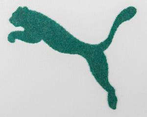 Original match worn Spielertrikot von Bulgarien mit der Rückennummer 9. Getragen von Dimitar Berbatov in einem Freundschaftsspiel für die bulgarische Fußball Nationalmannschaft in der Saison 2004/2005. Status:ABC. - Bild 7