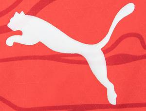 Original match worn Spielertrikot von Österreich mit der Rückennummer 6. Getragen von Nicolas Seiwald am 02.07.2024 im Achelfinale der Fußball Europameisterschaft gegen die Türkei. Österreich - Türkei 1:2. Status:AAB. - Bild 10