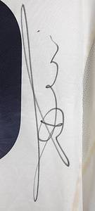 Original match worn / issued Spielertrikot von Italien mit der Rückennummer 9. Getragen von Luca Toni in einem Spiel der Fußball Europameisterschaft 2008 in Österreich und der Schweiz. Toni ist Fußball Weltmeister 2006. Trikot mit original Signatur von Toni auf der Rückseite. Status:ABB. - Bild 11