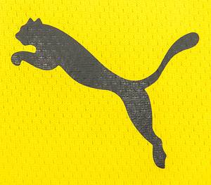 Sorry, no english description is available. ... match worn football shirt Borussia Dortmund 2021 -  Condition: A.....Trikot kurzarm; Größe M; Vereins-Logo, 2 Meistersterne und Puma-Logos gummiert; Werbeaufdruck '1&1', Rückennummer, Spielername und Schriftzug 'Dortmund' gummiert; mit BL Patch und Opel-Logo Patch; Puma DryCell. - Bild 5