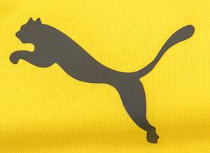 Sorry, no english description is available. ... match worn football shirt Borussia Dortmund 2019 -  Condition: A.....Trikot kurzarm; Größe L; Vereins-Logo, 2 Meistersterne und Puma-Logos gummiert; Werbeaufdruck 'evonik', Rückennummer, Spielername und Schriftzug 'Dortmund' gummiert; mit BL Patch und Opel-Logo Patch; Puma DryCell. - Bild 5