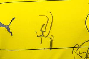 Sorry, no english description is available. ... match worn football shirt Bor. Dortmund 2015/16 -  Condition: A-.....Trikot kurzarm; Größe XL, Vereins-Logo, 2 Meister-Sterne und Puma-Logos gummiert; Werbeaufdruck 'evonik', Spielername, Rückennummer und  Schriftzug 'Dortmund' gummiert; Trikot hat Spielspuren (Erd-und Kreideflecken); mit BL Patch und Hermes Patch; Puma. - Bild 5