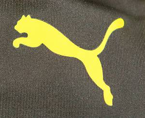 Sorry, no english description is available. ... match worn football shirt Bor. Dortmund 2015/16 -  Condition: A-.....Trikot kurzarm; Größe XL, Vereins-Logo, 2 Meister-Sterne und Puma-Logos gummiert; Werbeaufdruck 'evonik', Spielername, Rückennummer und  Schriftzug 'Dortmund' gummiert; Trikot hat Spielspuren (Erd-und Kreideflecken); mit BL Patch und Hermes Patch; Puma. - Bild 11