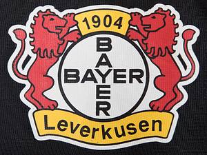 Leverkusen, Bayer 04 - Trikot 2003/2004  | Original match worn Spielertrikot von Bayer 04 Leverkusen mit der Rückennummer 9. Getragen von Dimitar Berbatow am 13.09.2003 im Spiel der Fußball Bundesliga den Hamburger SV. Leverkusen - HSV 1:0. Kirsten ist 78-facher Nationalspieler von Bulgarien. Trikot direkt von Berbatow. Status:AAA. - Bild 4