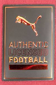 UEFA Euro 2024 match issued fb. shirt Switzerland - Bild 7