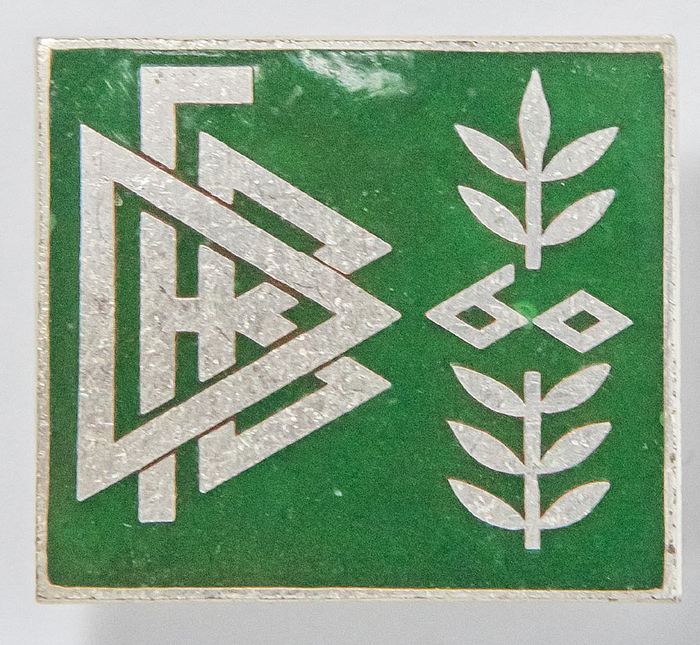 Großes Abzeichen des DFB anlässlich des 60jährigen DFB-Jubiläums. Bronze, versilbert, grün emailliert. Hersteller: E.F.Wiedmann, Frankfurt. 2,8x2,5 cm.