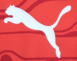 Original match worn Spielertrikot von Österreich mit der Rückennummer 7. Getragen von Marko Arnautovic am 20.03.2025 im Relegatiobsspiel zur UEFA Nations League gegen Serbien. Österreich - Serbien 1:1. Trikot mit original Autograph von Arnautovic. Dabei: Original match worn Spielerschuhe vom ÖFB aus dem Playoff-Spiel vom 20.03.2025 gegen Serbien. Österreich - Serbien 1:1 Getragen von Marko Arnautovic im Relegationsspiel zur UEFA Nations League gegen Serbien.Beide Schuhe mit original Autograph von Arnautovic. Außerdem: Original match worn Spiel-Wimpel vom Relegationsspiel zur UEFA Nations League von Serbien übergeben an Österreich. Österreich - Serbien 1:1. Es handelt sich um einen farbig bestickten Seidenwimpel. Spiel Wimpel; Größe 46cm x 35cm; mit vergoldeter Stange und Seiden-Fransen; Schriftzug ' Football Association of Serbia UNL 2025 Play Offs Austria - Serbia Vienna 20.03.2025' auf Vorderseite gestickt; mit gesticktem Wappen von Serbien auf der Rückseite. Status:ABA. - Bild 10