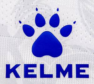 Original match worn / issued Spielertrikot von Bosnien-Herzegovina mit der Rückennummer 4. Getragen von Jusuf Gazibegovi am 11.10.2024 im Gruppenspiel der UEFA Nations League gegen Bosnien-Herzegovina. Bosnien - Deutschland 1:2. Status:AAB. - Bild 6