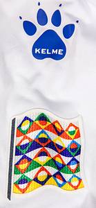 Original match worn / issued Spielertrikot von Bosnien-Herzegovina mit der Rückennummer 4. Getragen von Jusuf Gazibegovi am 11.10.2024 im Gruppenspiel der UEFA Nations League gegen Bosnien-Herzegovina. Bosnien - Deutschland 1:2. Status:AAB. - Bild 8