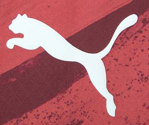 Original match worn / issued Spielertrikot vom RB Leipzig mit der Rückennummer 11. Getragen von Lois Openda am 22.01.2025 in der Champions League Ligaphase gegen Sporting Lissabon. RB - Sporting 2:1. Openda ist 26-facher Nationalspieler von Belgien. Status:AAB. - Bild 7