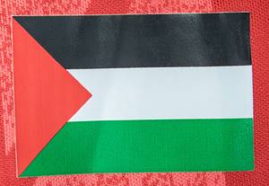 Asian Cup 2023 match worn footb. shirt Palestine - Bild 4