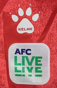 Asian Cup 2023 match worn footb. shirt Palestine - Bild 7