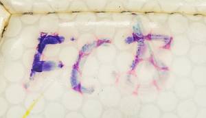 Football match Ball 1999 Bayern Munich v Eindhove - Bild 5