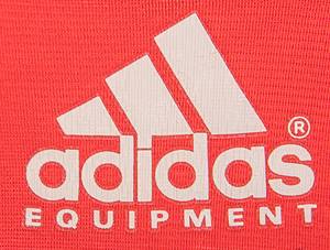 Original match worn Spielertrikot vom FC Bayern München mit der Rückennummer 2. Getragen von Markus Babbel in einem Spiel der Fußball Bundesliga in der Saison 1994/1995. Babbel ist Fußball Europameister 1996. Trikot ist Team signiert (mit ca. 22 suaberen und klaren original Signaturen). Status:ABB. - Bild 7