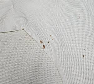 DFB  - Trikot 1958  | Original match worn DFB  Spielertrikot der mit der Nummer 5. Getragen von Heinz Wewers während eines Länderspiels in 1958. Wewers bestritt zwischen 1952 und 1958 zwölf Länderspiele für die deutsche Nationalmannschaft und gehörte zum Kader der DFB-Elf während der Weltmeisterschaft 1958 in Schweden, wo er im Spiel um Platz 3 gegen Schweden zum Einsatz kam. Status:ABA. - Bild 6