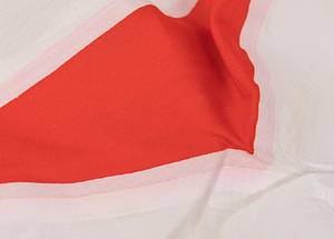 Schweiz - Trikot 2006 WM  | Original match worn Spielertrikot von der Schweiz mit der Rückennummer 8. Getragen von Raphael Wicky am 13.06.2006 bei der Fußball Weltmeisterschaft 2006 in Deutschland im Gruppenspiel G gegen Frankreich. AAC - Bild 11