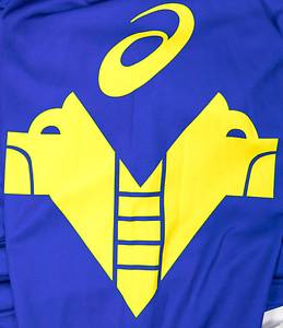 Verona, Chievo - Trikot 2011712  | Original match worn Spielertrikot von Hellas Verona mit der Rückennummer 8. Getragen von Guiseppe Russo in einem Spiel der Lega Calcio in der Saison 2011/12. Status:ACC. - Bild 8