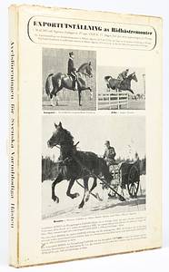  - Olympic Games 1956. Official Report Stockholm: „The Equestrian Games of the XVIth Olympiad“. A retrospective survey in text and pictures. Official Report from the OC. Size 22x31 cm, 268 pages cloth bound,with 400 b/w photos. (SWEDISH/ENGLISH). With dust Jacket. This edition comes with four folding maps in the supplement. (These are missing in most copies). Small tears on jacket, minor bad spot on rear. Condition: B-C - Bild 2