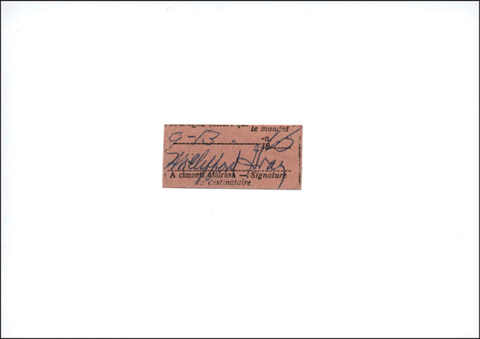Gray, Clifford  | (1892-1969) Formularausschnitt (4,3x2 cm) mit original Signatur von Clifford Gray (USA). 2facher Goldmedaillengewinner bei den Olympischen Spielen 1928 + 1932 im Viererbob. Aufmontiert auf Karteikarte, 15x10,5 cm.
